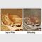 Portret kota Obraz olejny ręcznie malowany teksturą Zmień swoje zdjęcie w obraz