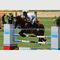 Zdjęcie Niestandardowe portrety olejne Wyścigi konne Obraz olejny ręcznie na płótnie